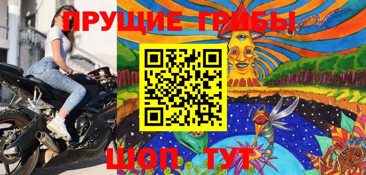 Псилоцибиновые грибы мицелий Элиста